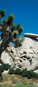 Image result for Mojave Desert National Monument