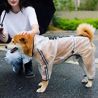 Image result for Clothes for Dogs Product