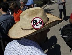 Image result for BLM Utah Fire Truck