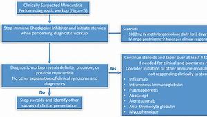 Image result for Myocarditis Treatment