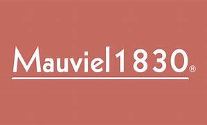 Image result for Mauviel Stainless