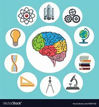 Image result for Science Elements with Brain Image