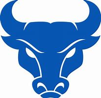 Image result for Buffalo Bulls Logo