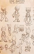 Image result for Sonic Anatomy