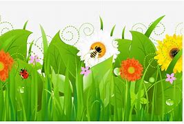 Image result for II Park Flower Art