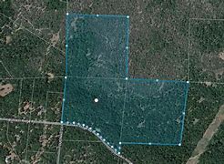 Image result for Manton CA 96059