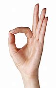 Image result for Togakure Hand Signs