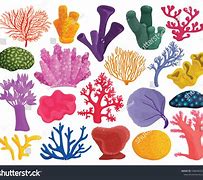 Image result for Sea Corel Vector