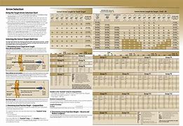 Image result for Easton Arrow Chart