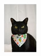 Image result for Cat with Bandana Drawing Base