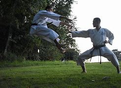 Image result for China Karate