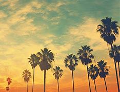 Image result for California Background for Sign