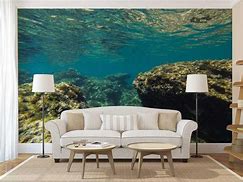 Image result for Underwater Scene Wall Murals