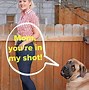 Image result for Mastiff Memes