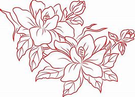 Image result for Chinese Flower Drawings