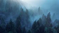 Image result for Foggy Morning Aesthetic