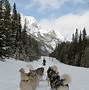 Image result for Banff National Park Canada Winter