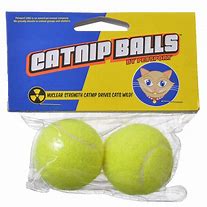 Image result for Catnip Balls Cat Toys