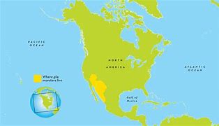 Image result for Monstruo Gila Habitat