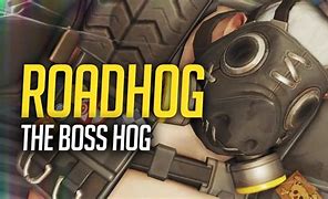 Image result for WOT Hog Pig