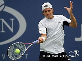 Image result for Tommy Haas