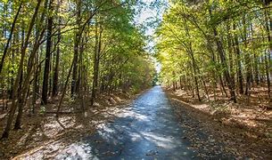 Image result for American Tobacco Trail