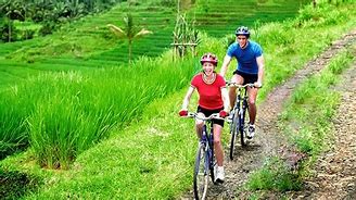 Image result for Cycling Bali