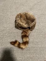 Image result for Rabbit Fur Ushanka