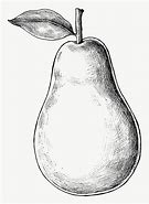 Image result for Shoke Pear