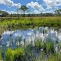 Image result for Wittlinger Nature Preserve