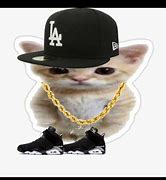 Image result for Gato Com Drip