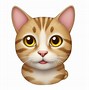 Image result for Tabby Gray Cat Emoji