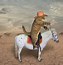 Image result for Texas Cowboy Cat