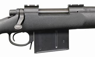 Image result for Remington 700 MLR