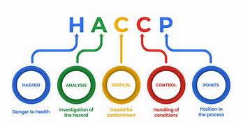 Image result for HACCP System Diagram