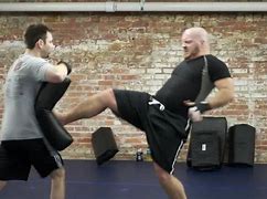 Image result for Krav Maga Front Kick