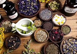 Image result for Hera Sacred Plants