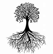 Image result for Line Drawn Tree