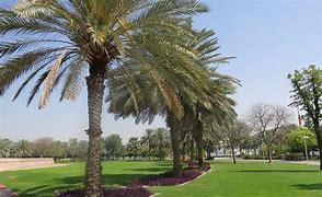 Image result for Dubai Creek Park Map