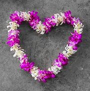 Image result for Hawaiian Flower Lei