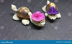 Image result for Turtle Made Out of Shells