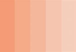 Image result for Minecraft Skin Palette