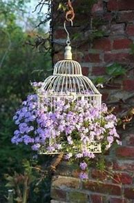 Image result for Floral Bird Cages