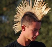 Image result for Quiffed Mohawk