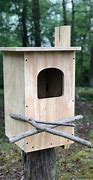 Image result for barred owl nest box camera