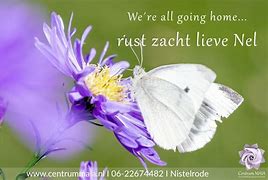 Image result for Afbeelding Rust Zacht