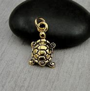 Image result for Openable Turtle Charm