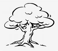 Image result for Tree Outline Graphic