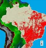 Image result for Brazil Arable Land