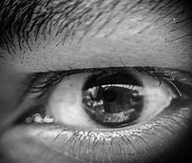 Image result for Macro Eye Photography Black and White